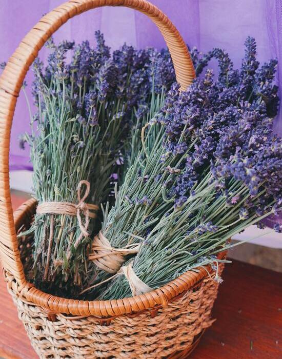 Green Wedding regionale und saisonale Blumen - Lavendel
