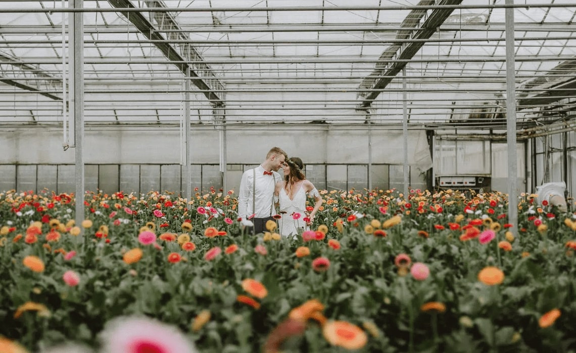 Urbane Hochzeit - Heiraten im Gewächshaus
